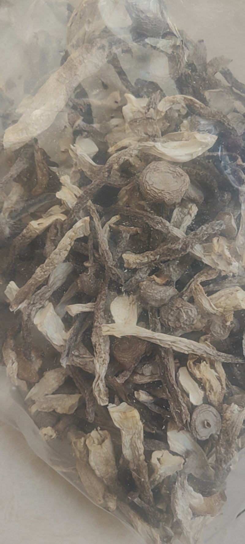 鹿茸菇干货鹿茸菇欢迎选购！量大从优！