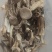 鹿茸菇干货鹿茸菇欢迎选购！量大从优！