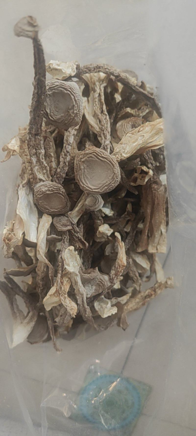 鹿茸菇干货鹿茸菇欢迎选购！量大从优！