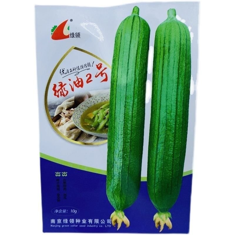 绿领绿油2号丝瓜种子早熟高产抗病肉厚味浓圆筒形丝瓜种大棚