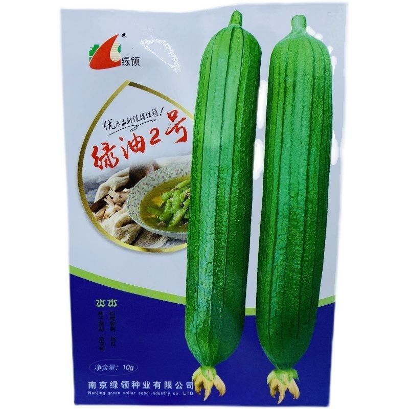 绿领绿油2号丝瓜种子早熟高产抗病肉厚味浓圆筒形丝瓜种大棚