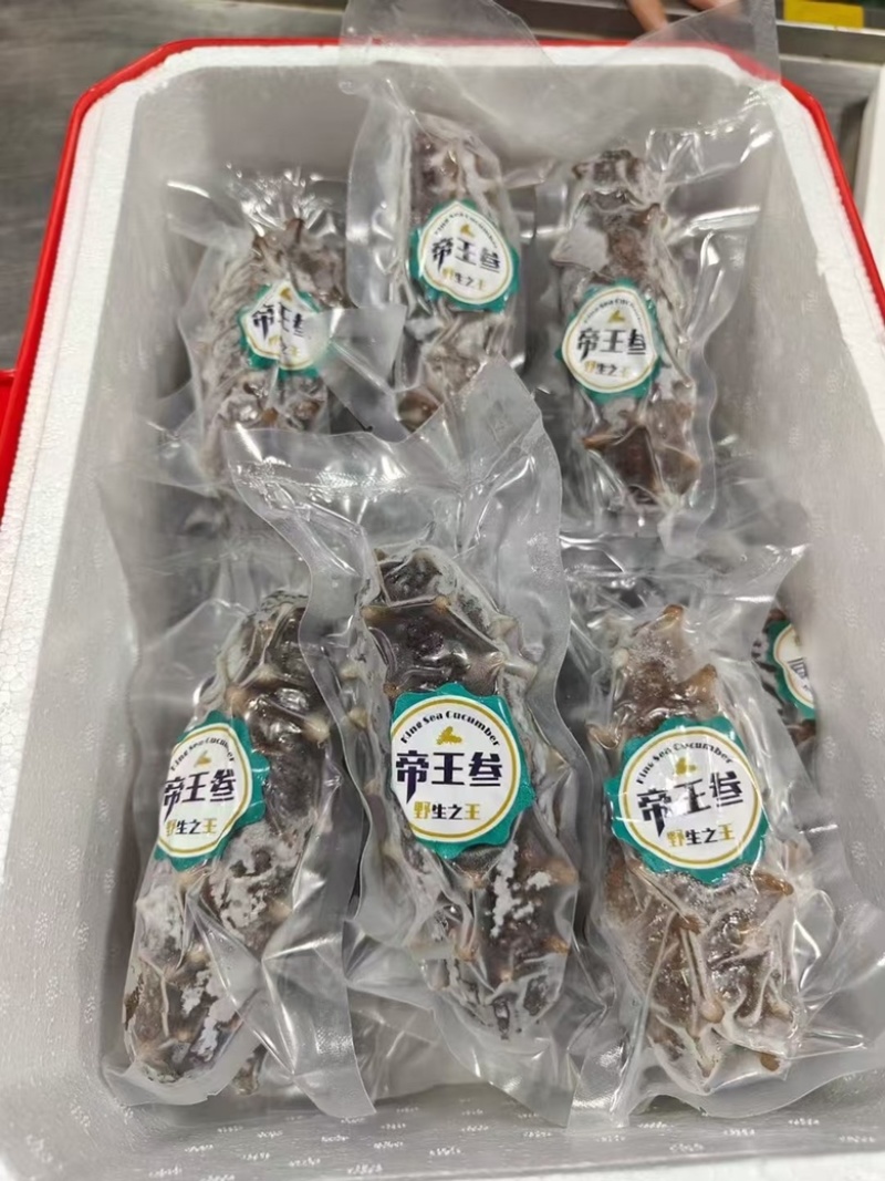 海参帝王参辽参酒店餐厅批发已泡发一斤3-5头即食海参