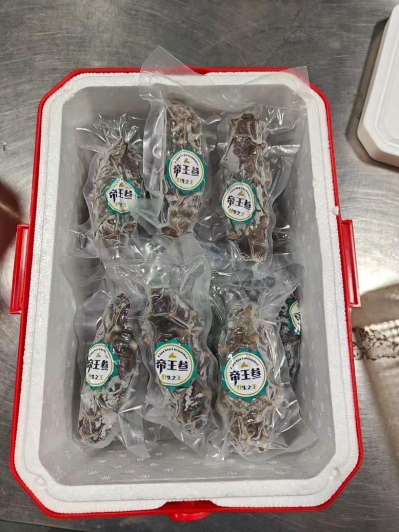 海参帝王参辽参酒店餐厅批发已泡发一斤3-5头即食海参