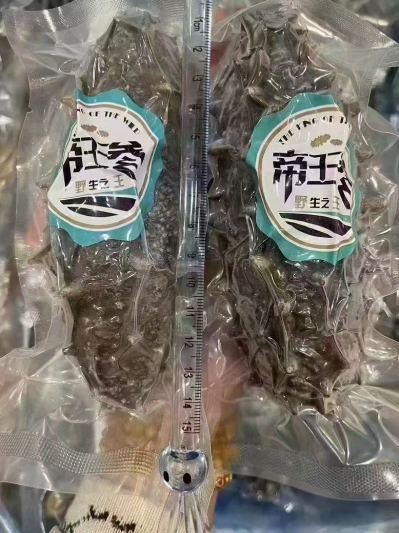 海参帝王参辽参酒店餐厅批发已泡发一斤3-5头即食海参
