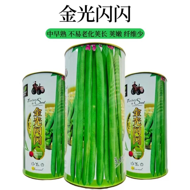 拖车头金光闪闪小金豆种子中早熟耐老化纤维少口感嫩基地四季
