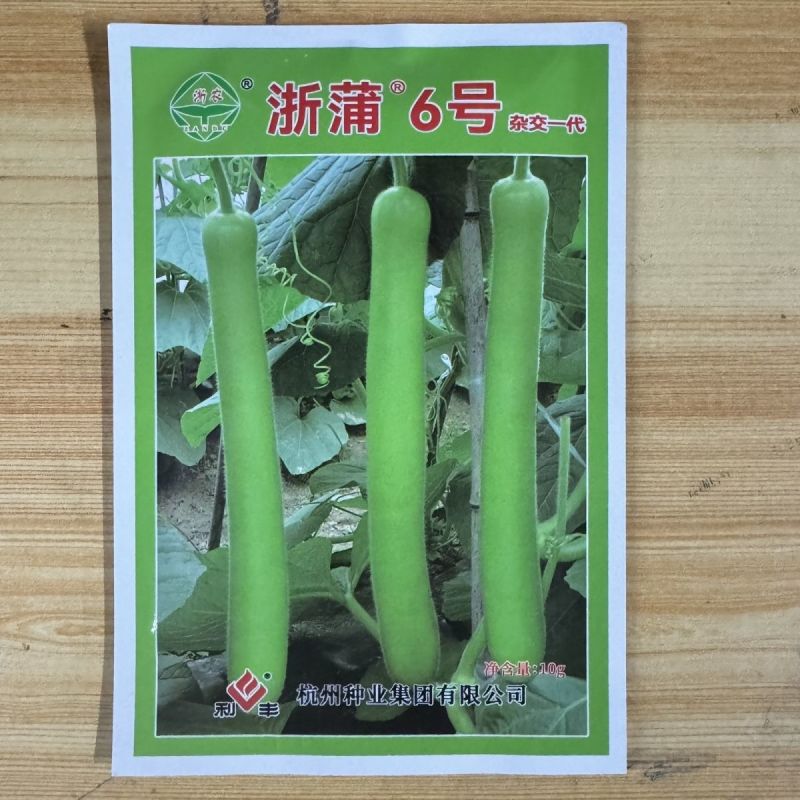 浙蒲6号长瓠瓜种子优质早熟高产抗病瓠子瓜种基地春秋播瓠瓜