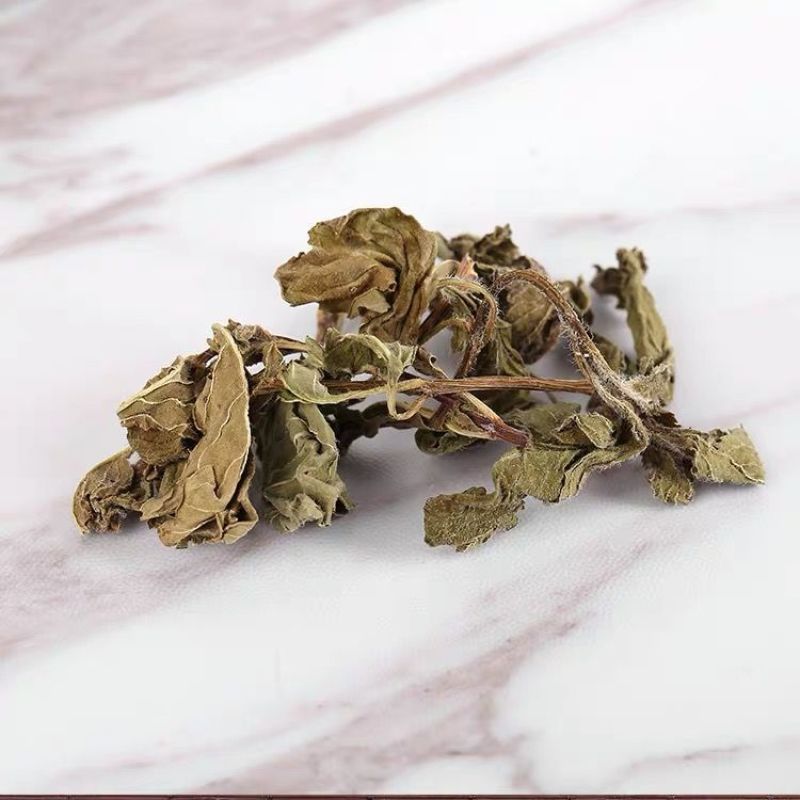 【薄荷】薄荷叶量大从优物美价廉产地直供