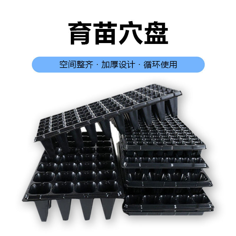 育苗批发穴盘苗盘盘穴盘草莓玉米辣椒多肉叶插苗育苗盘加厚超