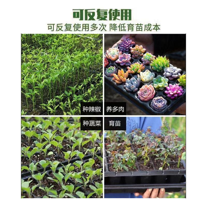 育苗批发穴盘苗盘盘穴盘草莓玉米辣椒多肉叶插苗育苗盘加厚超