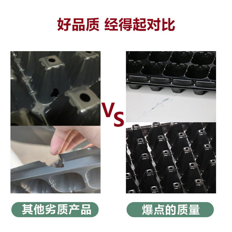 育苗批发穴盘苗盘盘穴盘草莓玉米辣椒多肉叶插苗育苗盘加厚超