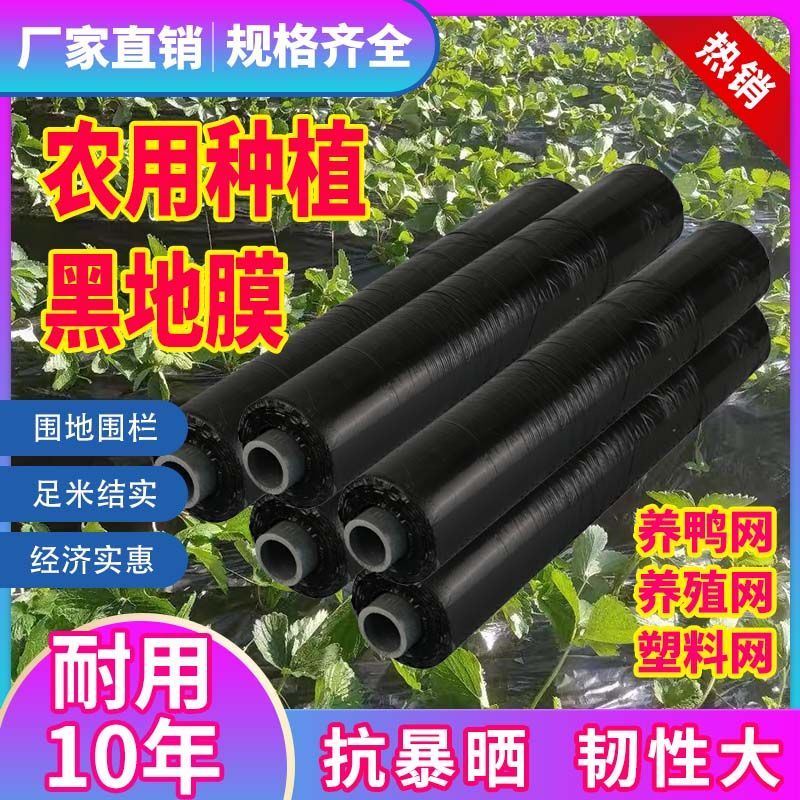 黑色农用黑地膜除草膜蔬菜果树大棚草莓专用膜保温膜一次性薄