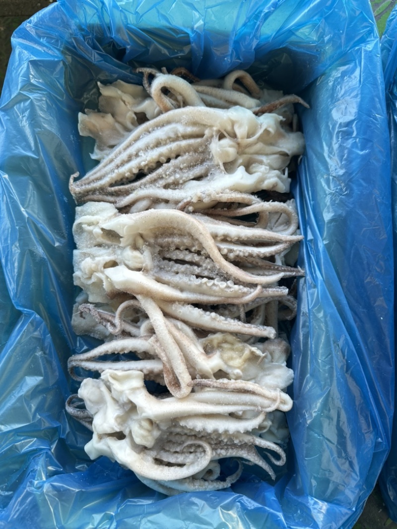 单冻鱿鱼开片头，无冰衣，口感爽脆，个头均匀，3斤