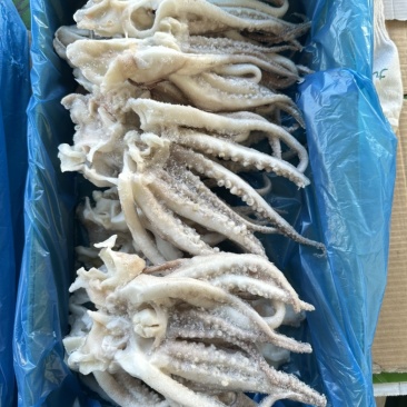 单冻鱿鱼开片头，无冰衣，口感爽脆，个头均匀，3斤