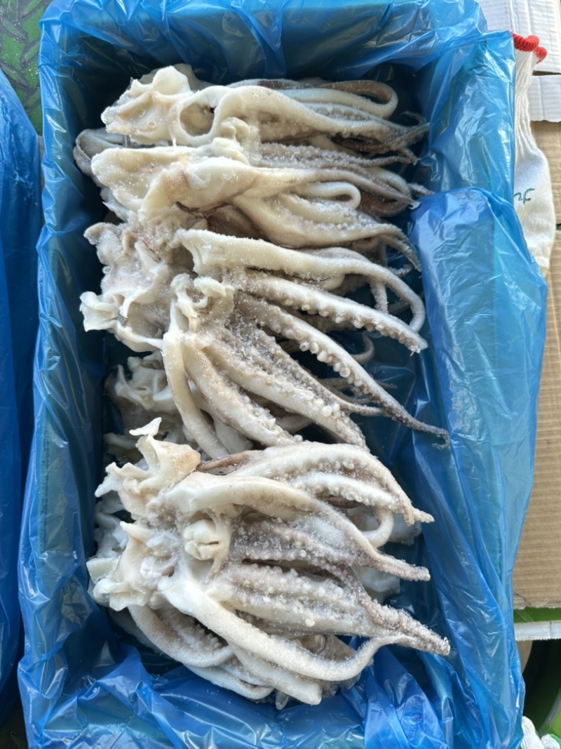 单冻鱿鱼开片头，无冰衣，口感爽脆，个头均匀，3斤