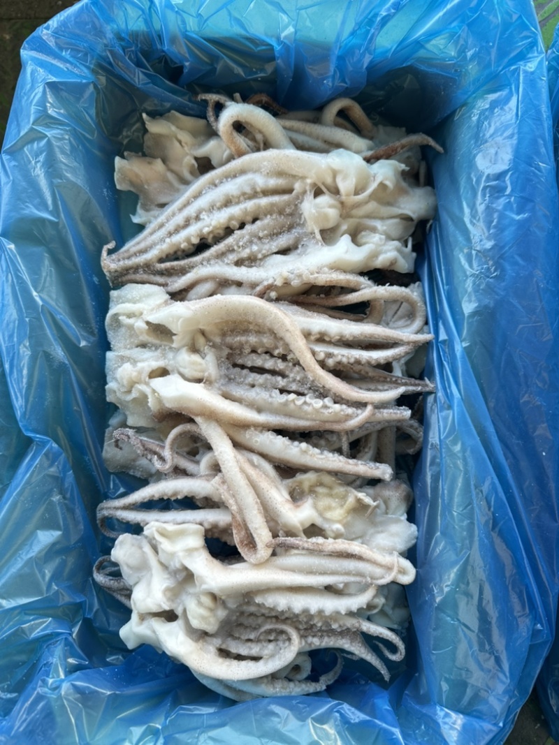 单冻鱿鱼开片头，无冰衣，口感爽脆，个头均匀，3斤