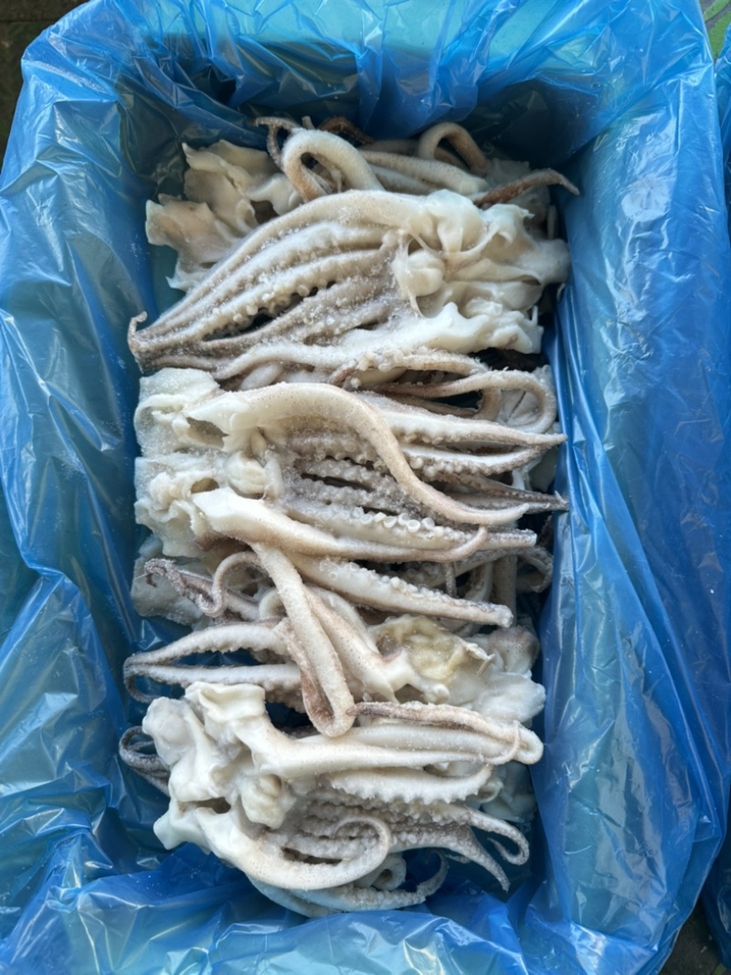单冻鱿鱼开片头，无冰衣，口感爽脆，个头均匀，3斤
