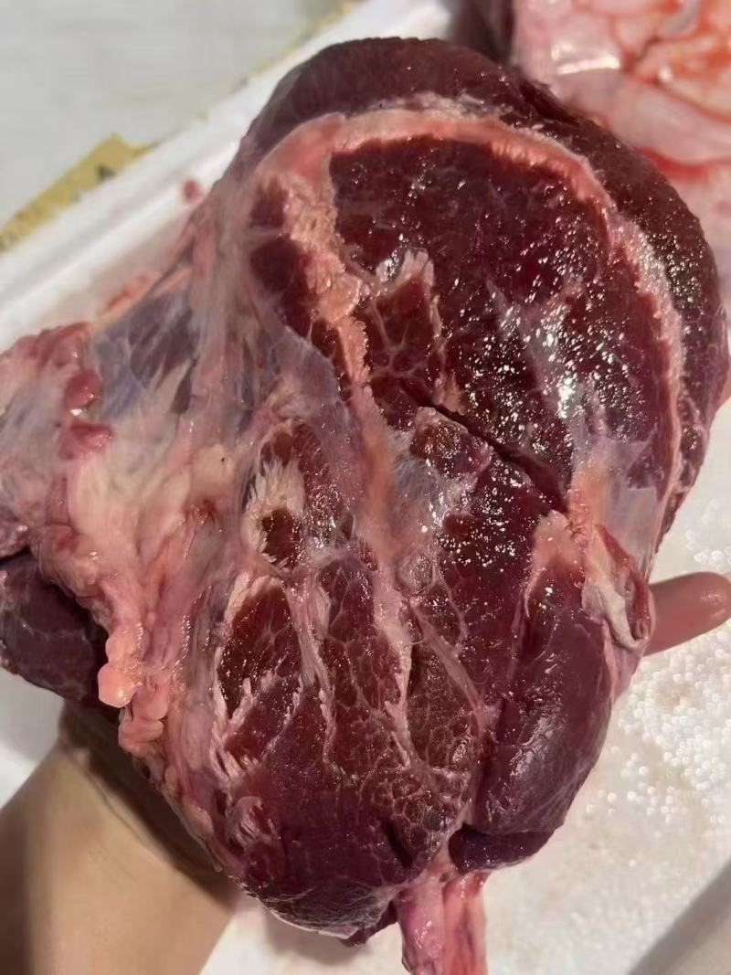 牛大脸肉全国发货吨起聊价可对接电商超市等，诚信经营