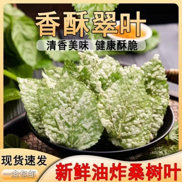 新鲜翠叶现货现发手工无糖桑叶半成品餐饮家庭