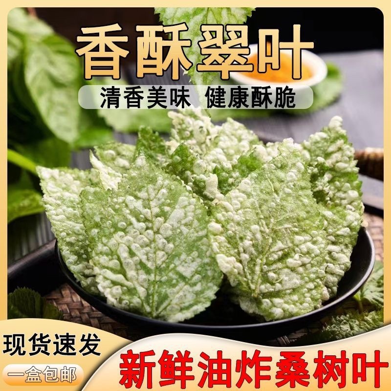 新鲜翠叶现货现发手工无糖桑叶半成品餐饮家庭
