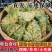 新鲜翠叶现货现发手工无糖桑叶半成品餐饮家庭