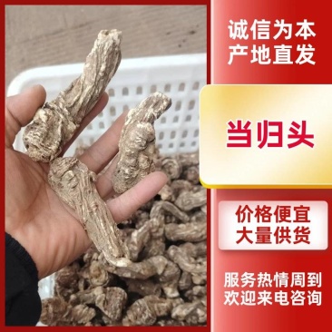 优质当归头当归产地直供一手货源无硫无熏染货真价实