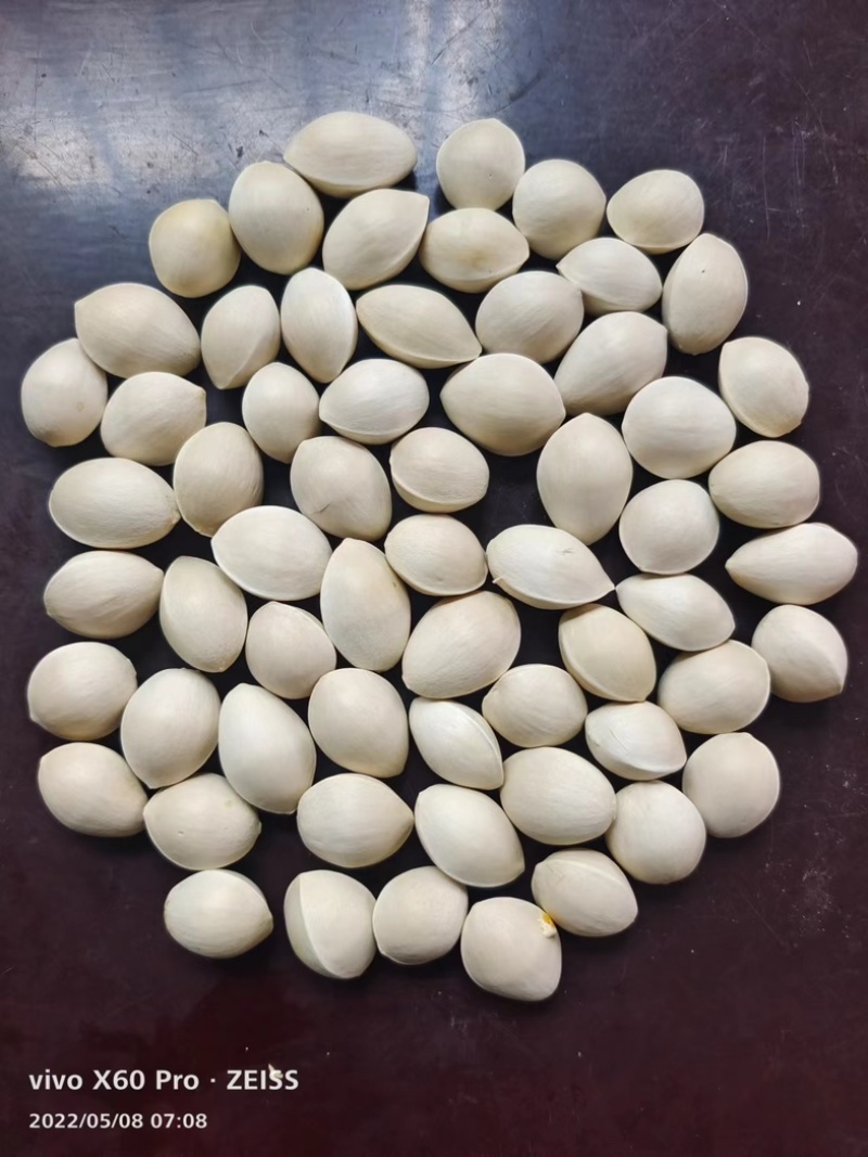 烘干带壳白果仁