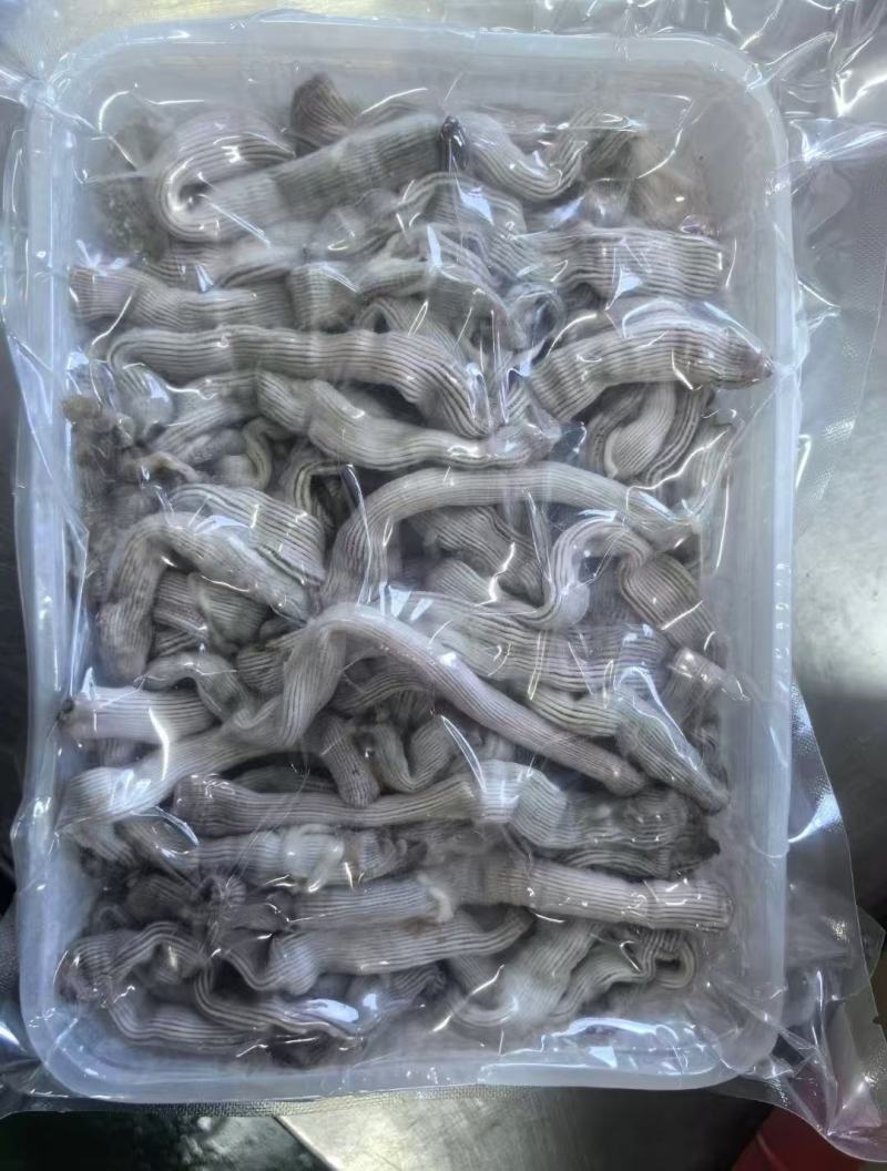 去内脏无沙沙虫一手资源