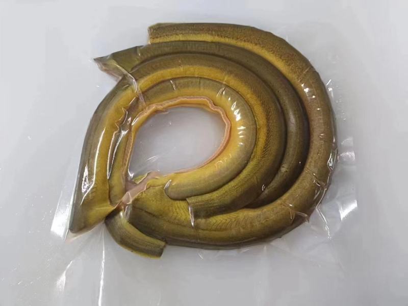 黄鳝片