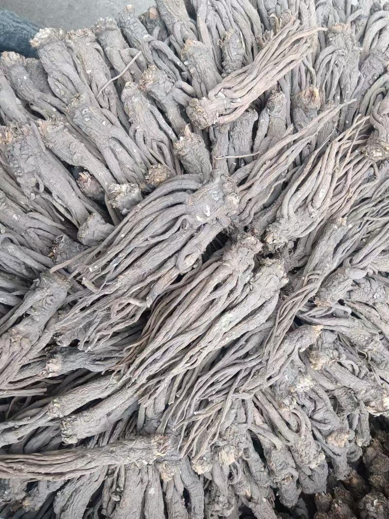 无硫精品半成品当归量大从优可视频看货产地直发一手货源