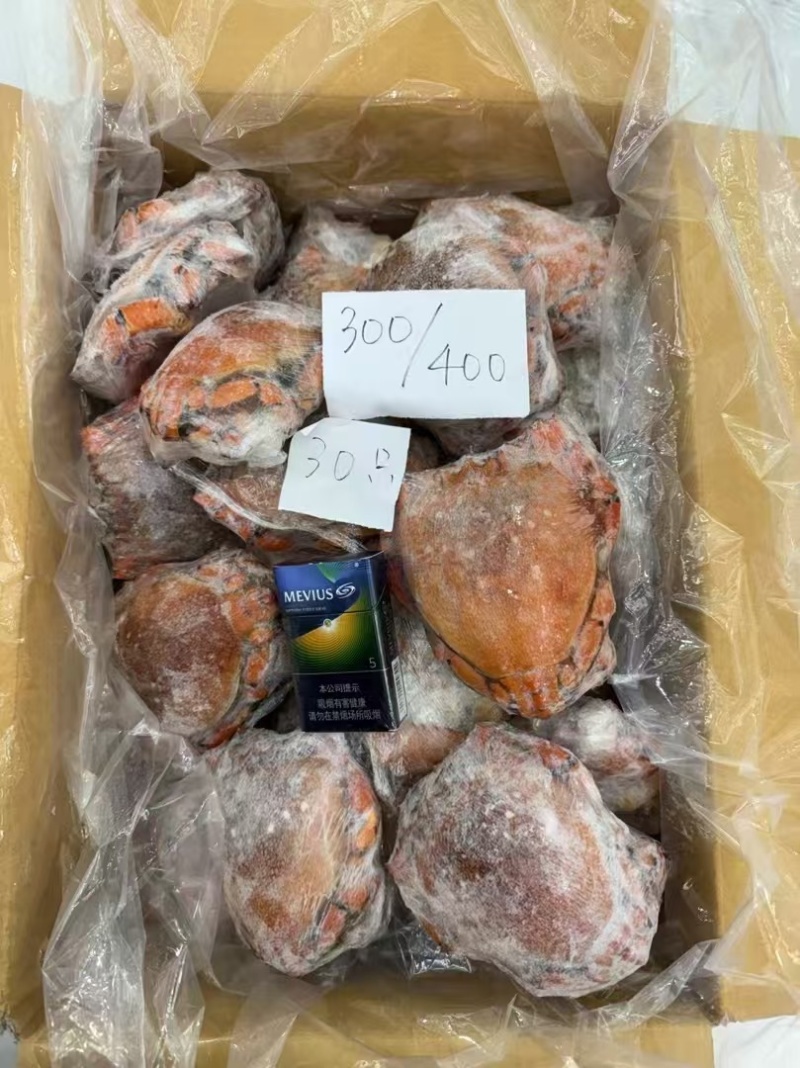 进口鲜活速冻老虎蟹野生贵妃蟹螃蟹肉多新鲜大红蟹海蟹螃蟹批