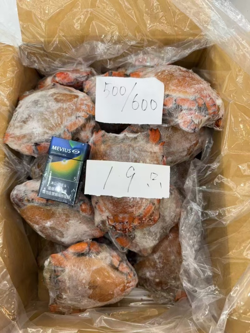 进口鲜活速冻老虎蟹野生贵妃蟹螃蟹肉多新鲜大红蟹海蟹螃蟹批