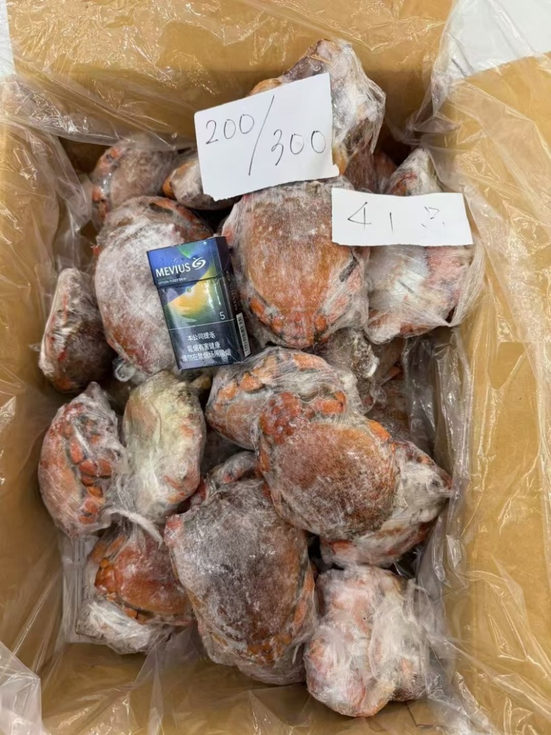 进口鲜活速冻老虎蟹野生贵妃蟹螃蟹肉多新鲜大红蟹海蟹螃蟹批
