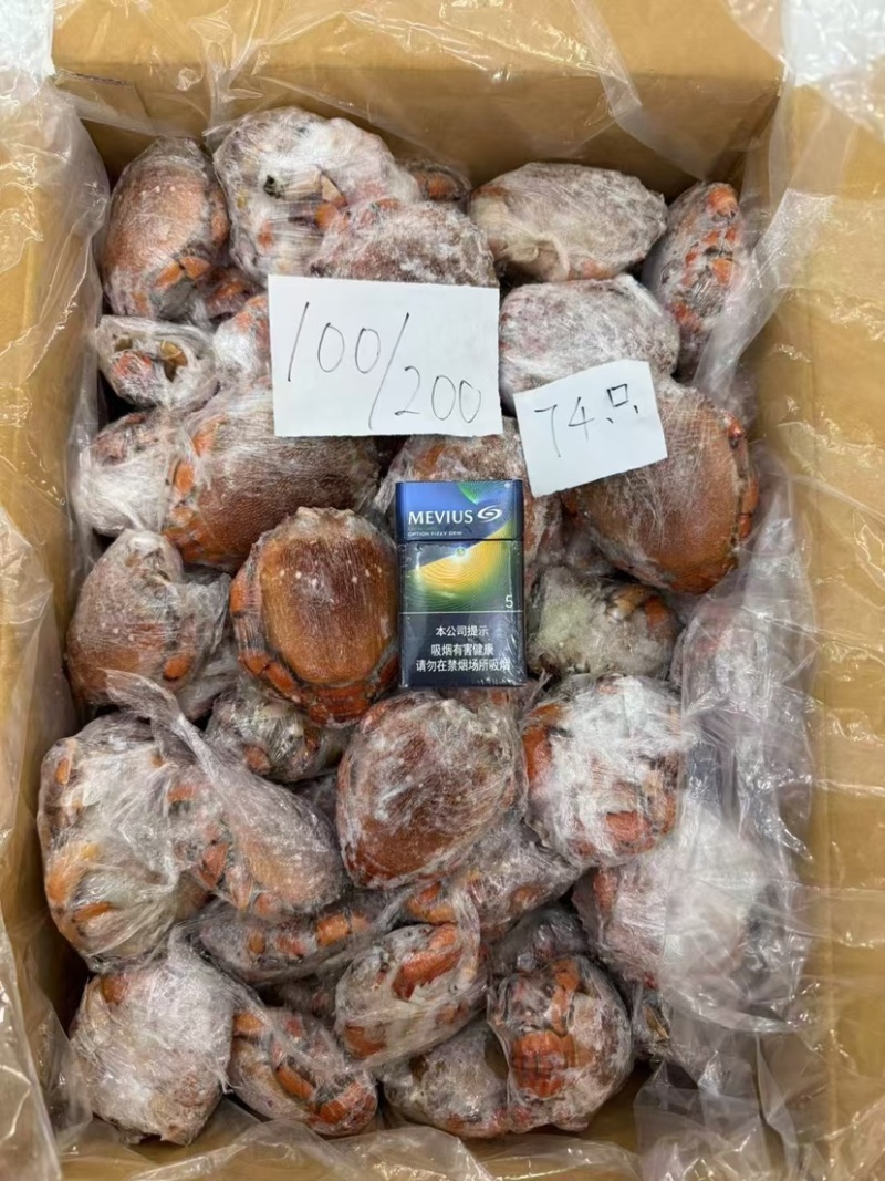 进口鲜活速冻老虎蟹野生贵妃蟹螃蟹肉多新鲜大红蟹海蟹螃蟹批