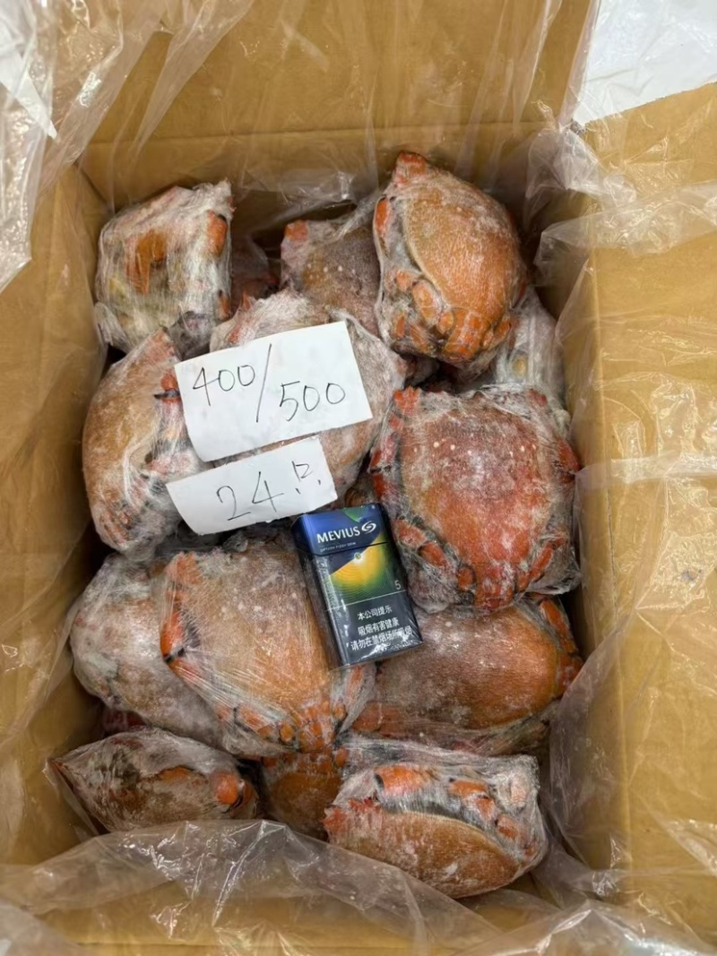 进口鲜活速冻老虎蟹野生贵妃蟹螃蟹肉多新鲜大红蟹海蟹螃蟹批