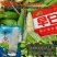 早白2017白糯玉米种子特早熟65天采收大棒上市早