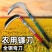 锰钢锋利镰刀砍割两用农用户外割草刀除草工具全钢弯刀专用小