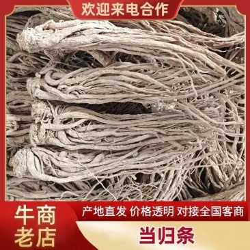 岷县当归产区自销有硫当归个中药材