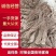 欢迎电话咨询营养丰富当归超高性价比品质保证