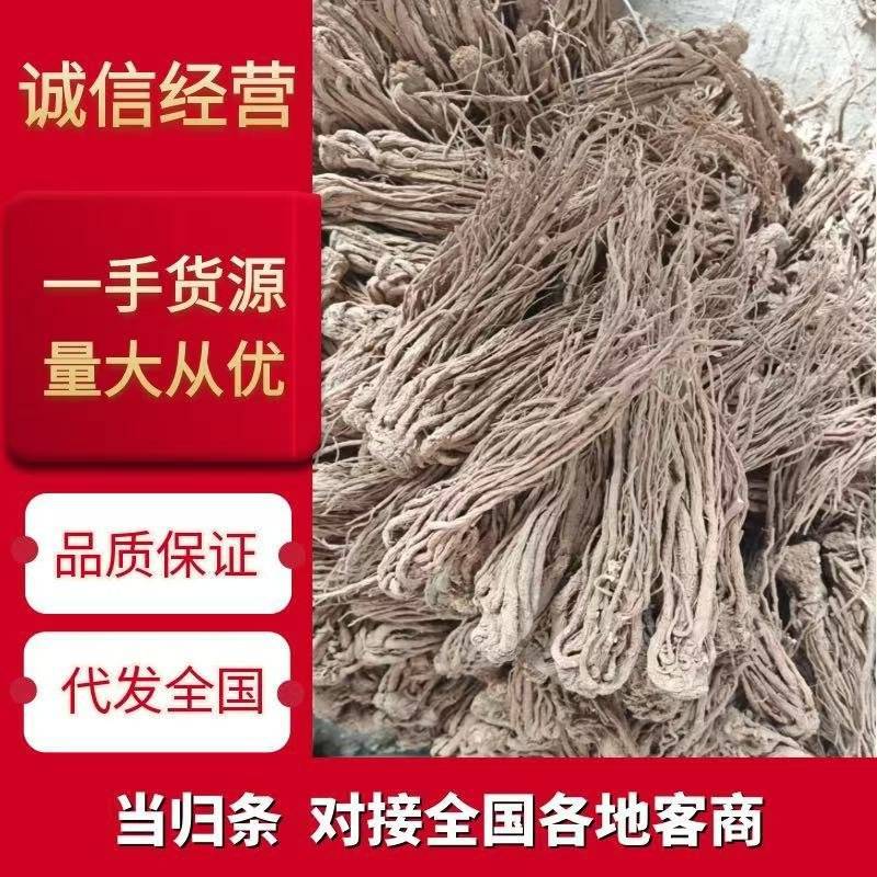 欢迎电话咨询营养丰富当归超高性价比品质保证