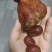 卖鸡宝农村自家杀出来的