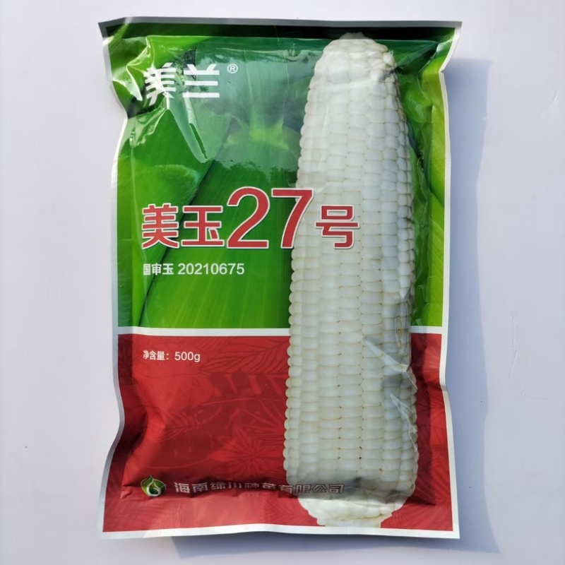 美玉27号甜味糯玉米种子一斤装更实惠白玉米种子