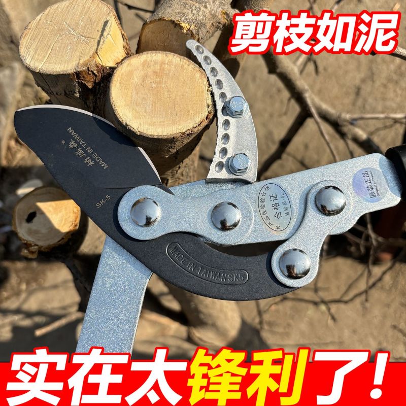 修剪树枝大剪刀果树强力原装伸缩正品粗枝剪园林专用加长大力