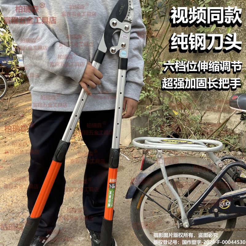 修剪树枝大剪刀果树强力原装伸缩正品粗枝剪园林专用加长大力