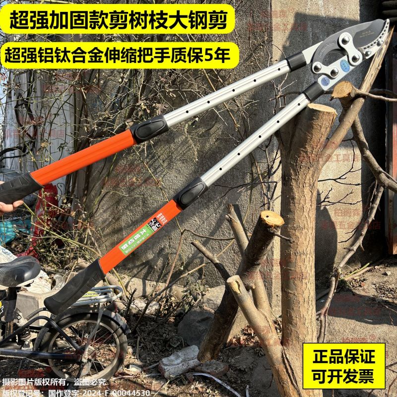 修剪树枝大剪刀果树强力原装伸缩正品粗枝剪园林专用加长大力