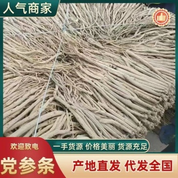 甘肃岷县中药材正品党参条优选