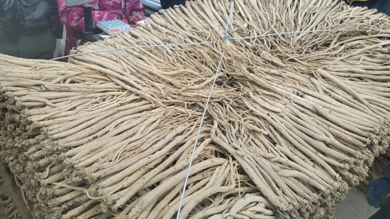 甘肃岷县中药材正品党参条优选