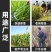 锰钢锋利镰刀砍割两用农用户外割草刀除草工具全钢弯刀专用小