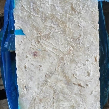 真鳕脂肪肉块冻宠物冻干专用
