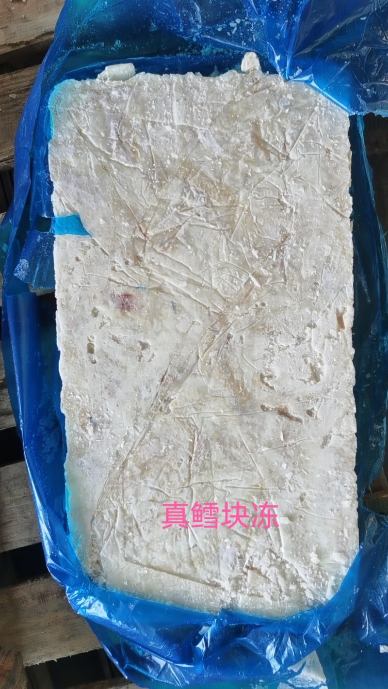 真鳕脂肪肉块冻宠物冻干专用