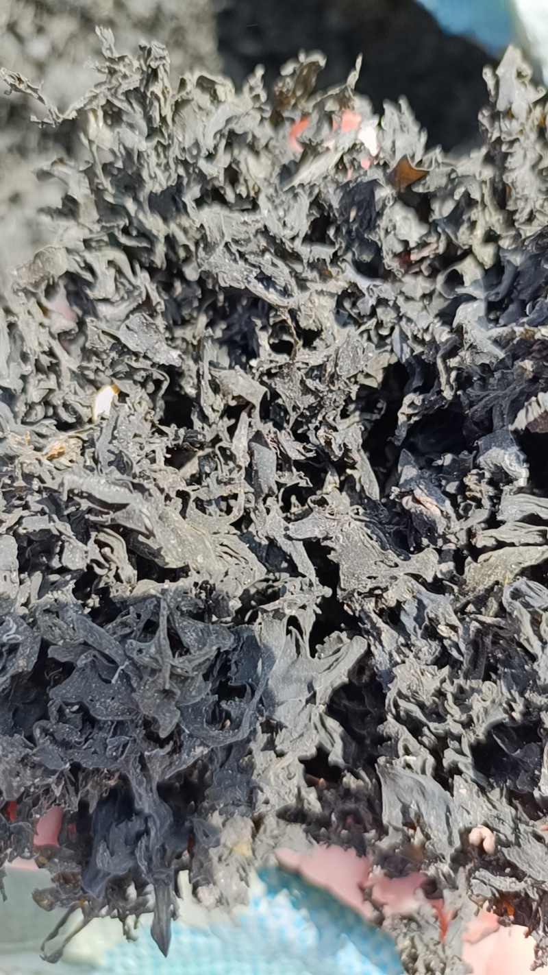 免洗干货